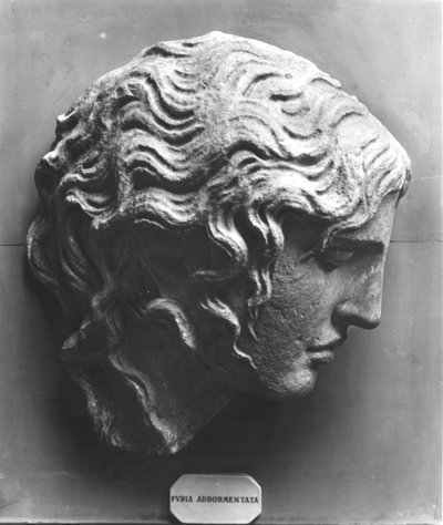 Hoofd van een slapende furie of stervende Medusa door Roman Roman